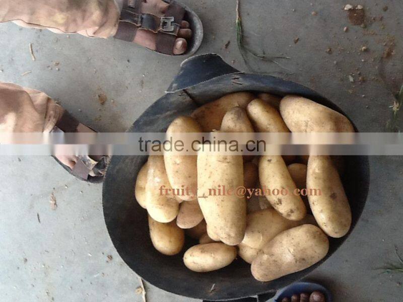 Fresh Potatoes