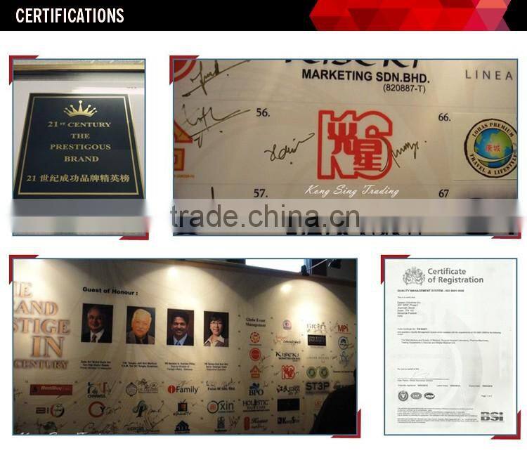 Automatic Swing Gate Opener with Long Lifespan Quality