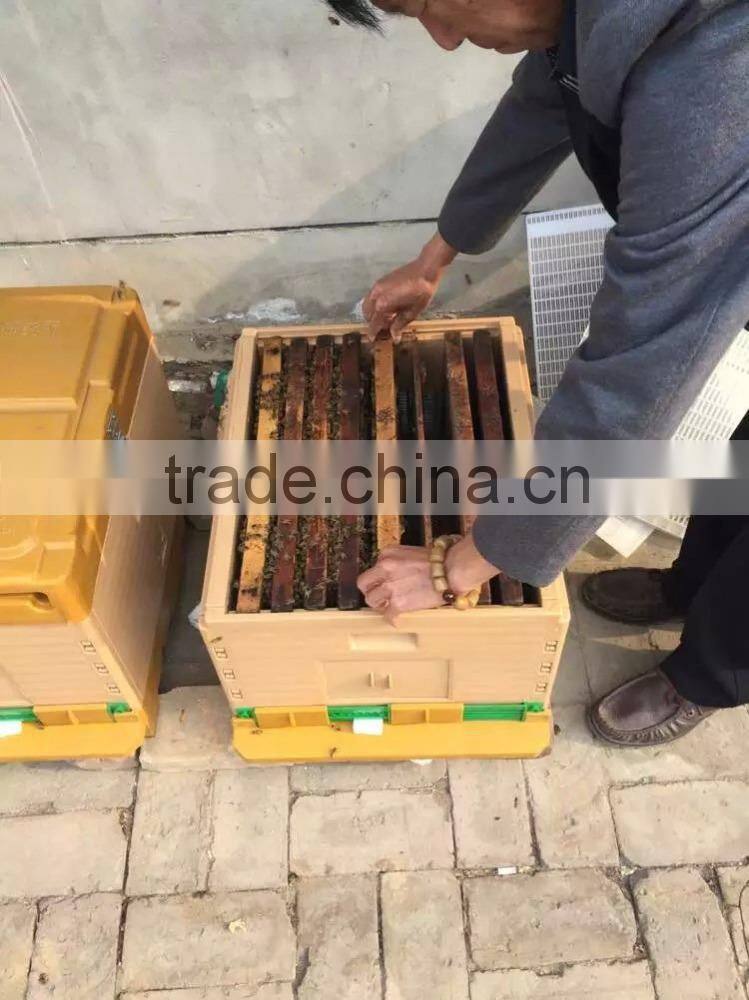 long service life bee hive apiary