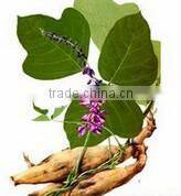 BNP Supply High Quality Radix Puerariae Soft Capsules/Kudzu root Capsules