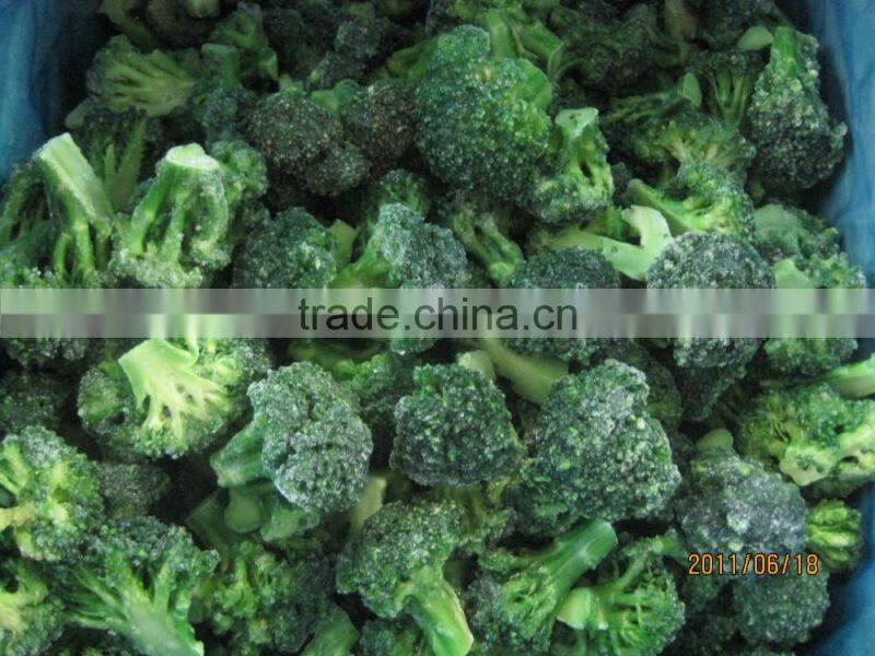 Frozen vegetable broccoli 3-5cm