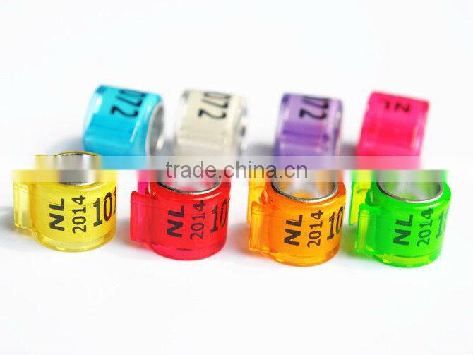 2015 Newest Dutch Pigeon Ring For Sale By YZ factory EXW price