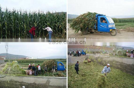 Best quality agriculture Hay cutter machine with big capacity