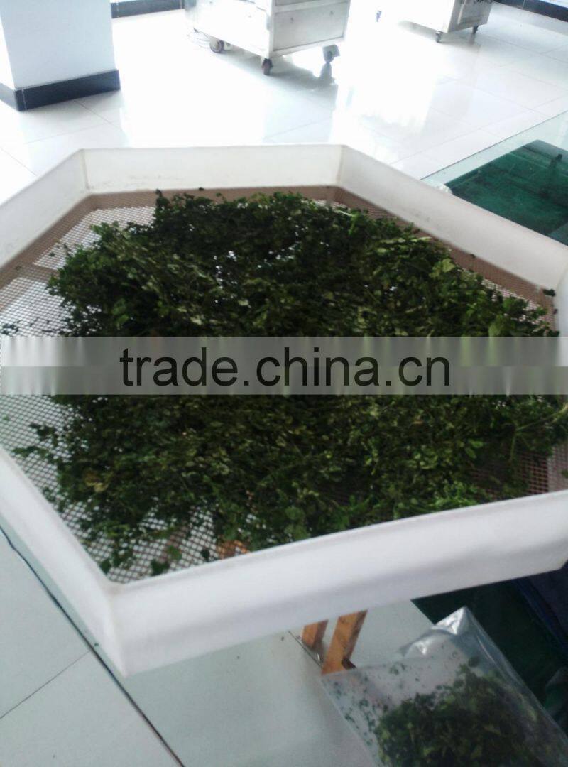 Industrial continuous type moringa leaf microwave dryer/drying machine