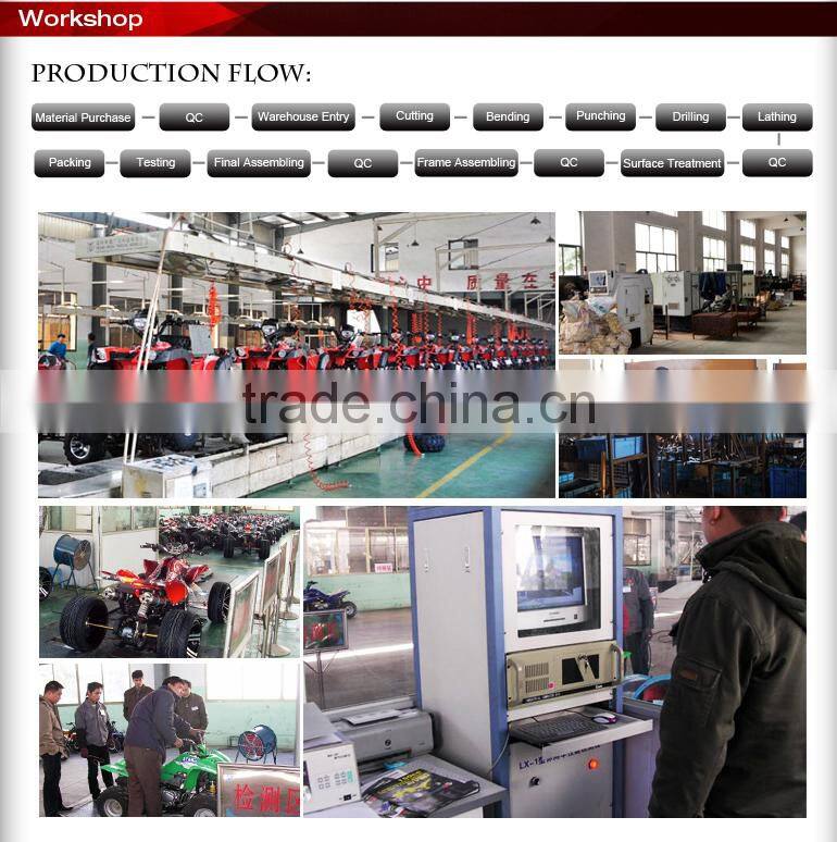 Racing ATV 250CC Parts.Jinling ATV Parts.