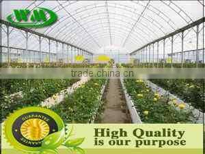 Polyethylene blown film for agriculture