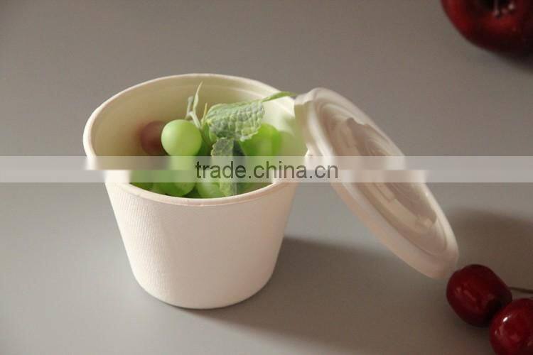 16oz-sugarcane bagasse cup with PLA lid 500ml-L