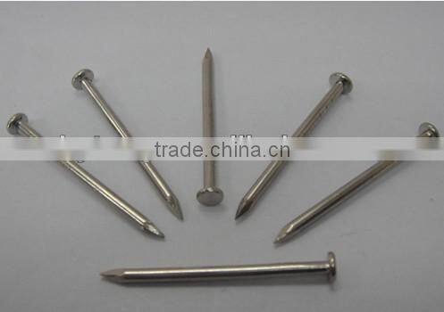 galvanized roofing nails with umbreall head