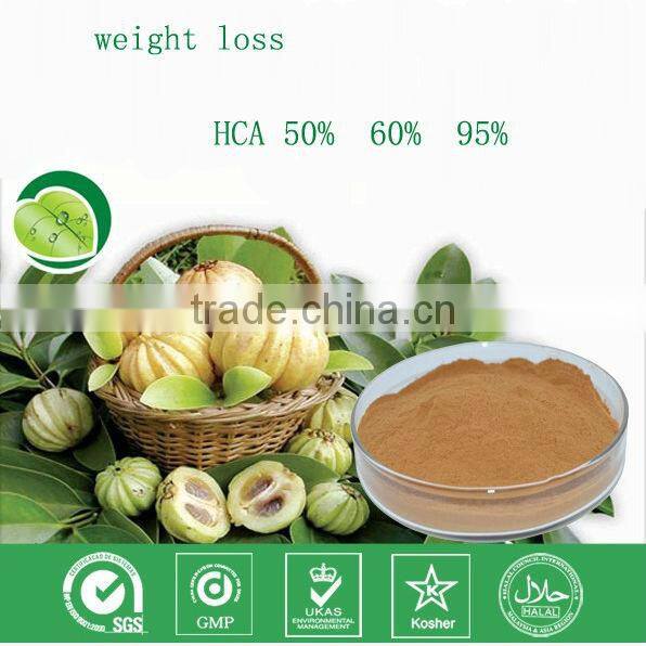 hot sell weight loss product garcinia cambogia
