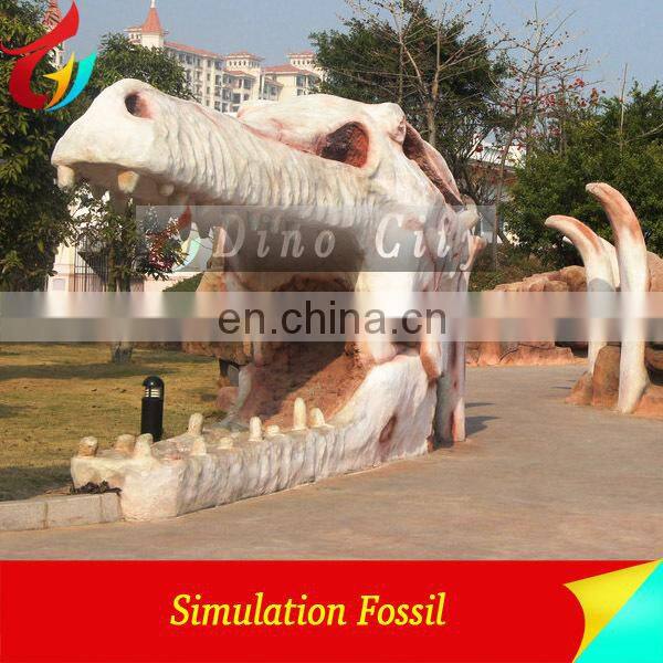 High Quantity Animal Skeletons Fossil In Big Discount