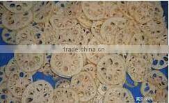 Stainless steel automatic vegetable dicer/slicer cutter