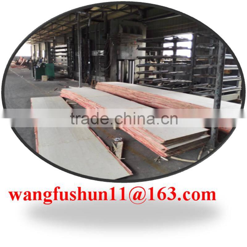 Malaysia packing popalr lvl for packing poplar lvl for wooden box poplar lvl for wooden pallets