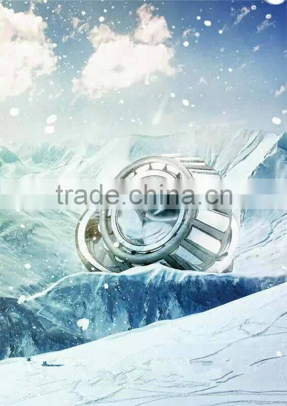 OEM 2219810406 wheel bearing for Mercedes