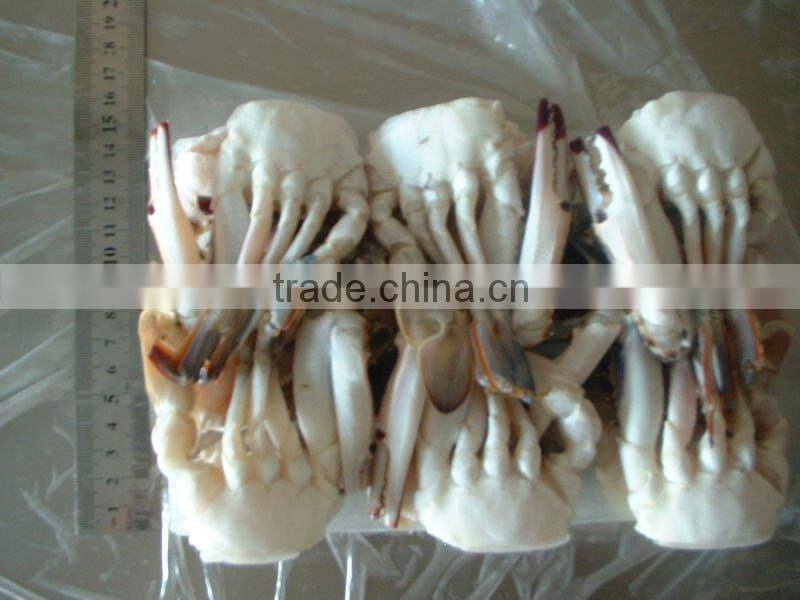 best sea frozen snow crab legs