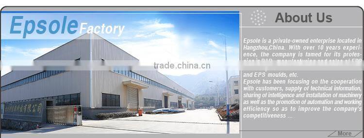 Customized EPS mold Supplier