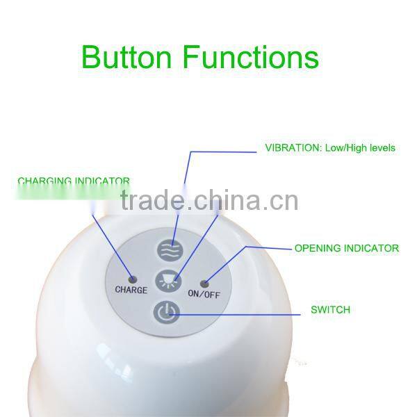 4 Colors LED Light Photon Therapy Beauty Massager Beauty Machine with Vibration Massage