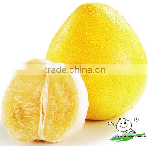 China pomelo low price