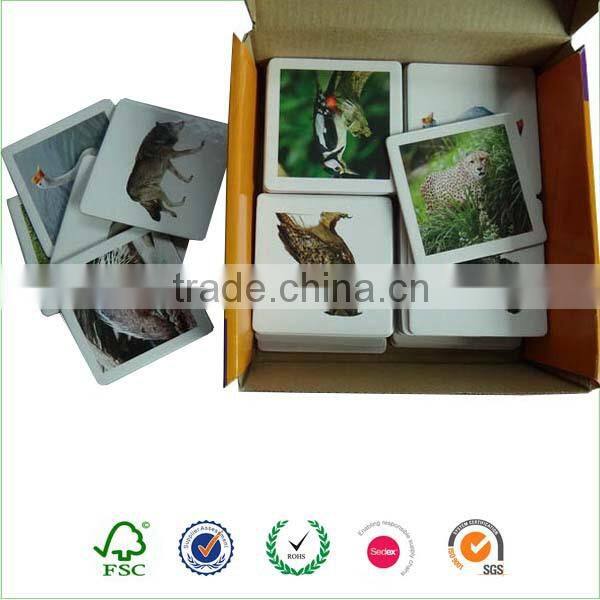 latest toy craze 2017 hot sale memory card