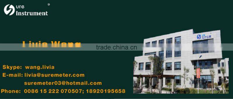 Paddle wheel flow meter for water