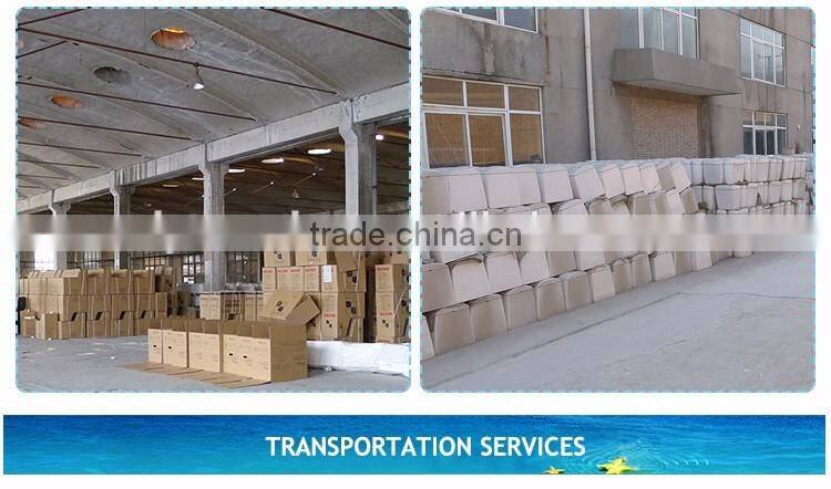 Sanitary Fitting Factory Price Combined Toilet Bidet