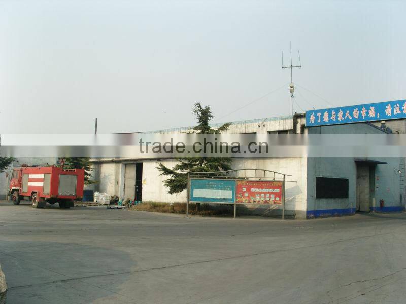 General /Common conveyor belt