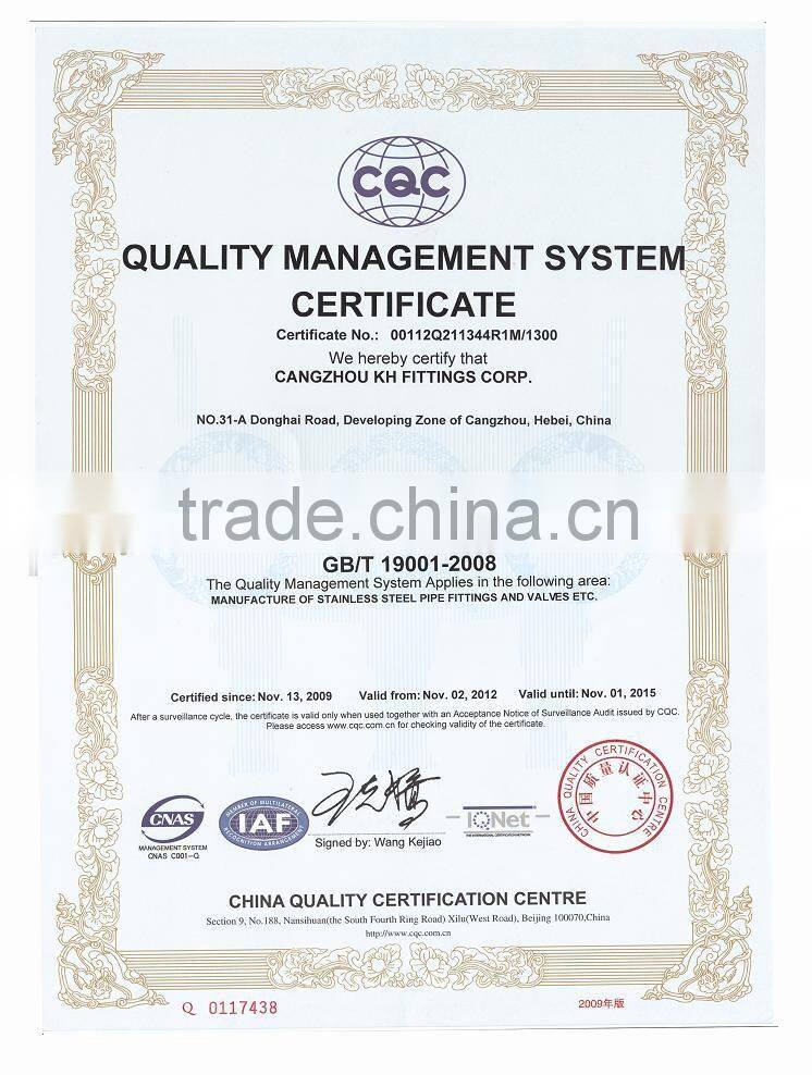 STAINLESS STEEL Casting Pipe Fittings 1" 316 Y TYPE STRAINER