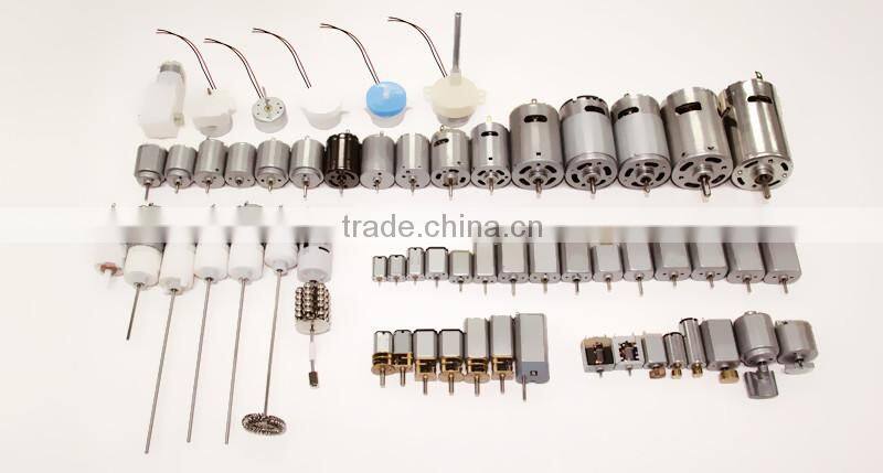 China factory price hot sale promotion 6/12/24v brushless dc motor