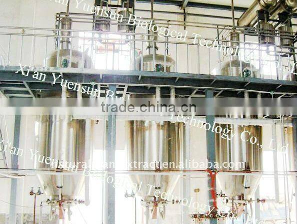 KOSHER Certified Chaga Extract (inonotus obliquus) / Polysaccharides 10%-50% UV