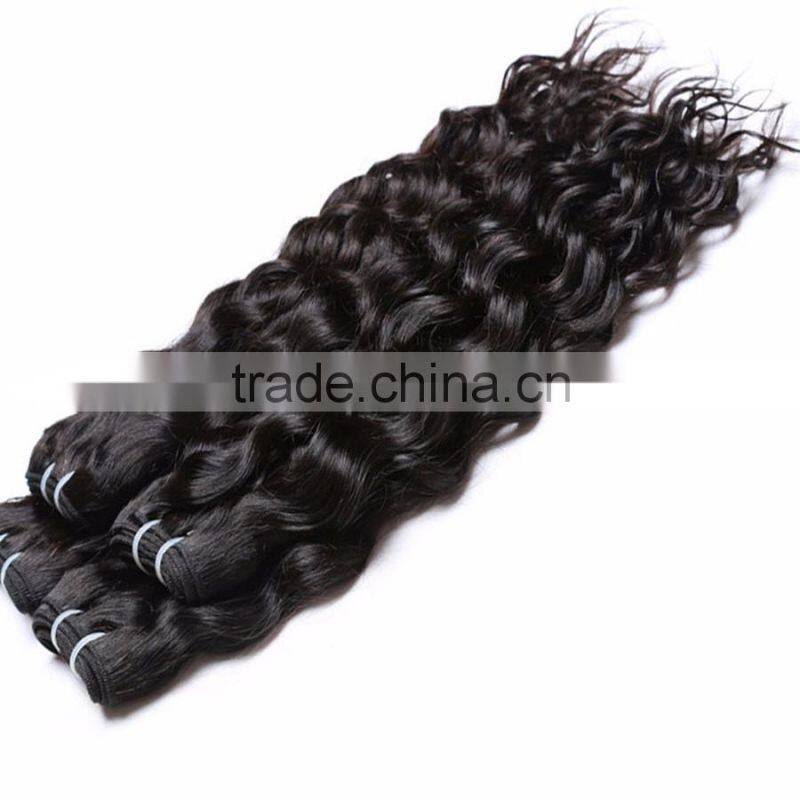 ladies human hair Cambodian/Brazilian/Peruvian/Burmess/Malaysian curly wavy hair