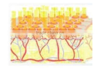 fractional RF beauty equipment for skin lifting wrinkle removal