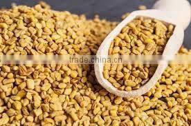 FENUGREEK SEEDS INDIAN METHI DANA