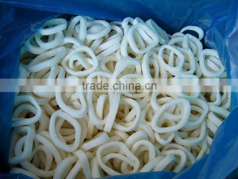frozen squid fillet