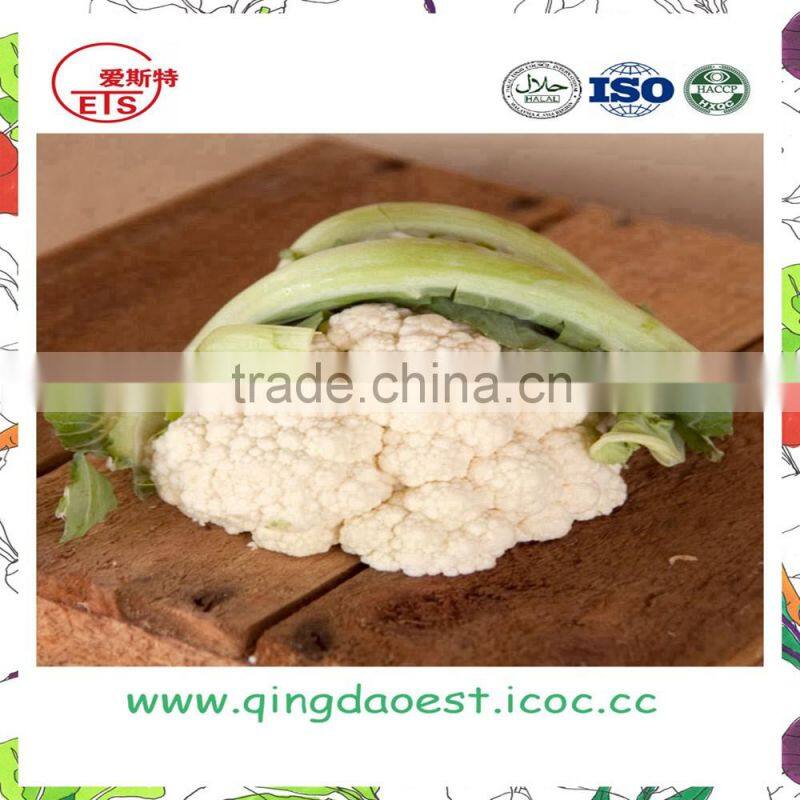 best price fresh cauliflower