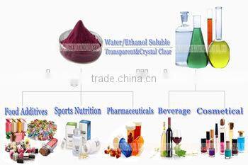 Hot-sale Sex Product Maca Extract Black Organic Maca Root Extract Powder