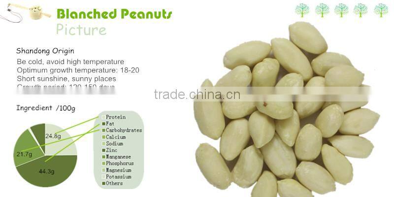 Peeled Peanuts Bulk Blanched Peanut Kernel