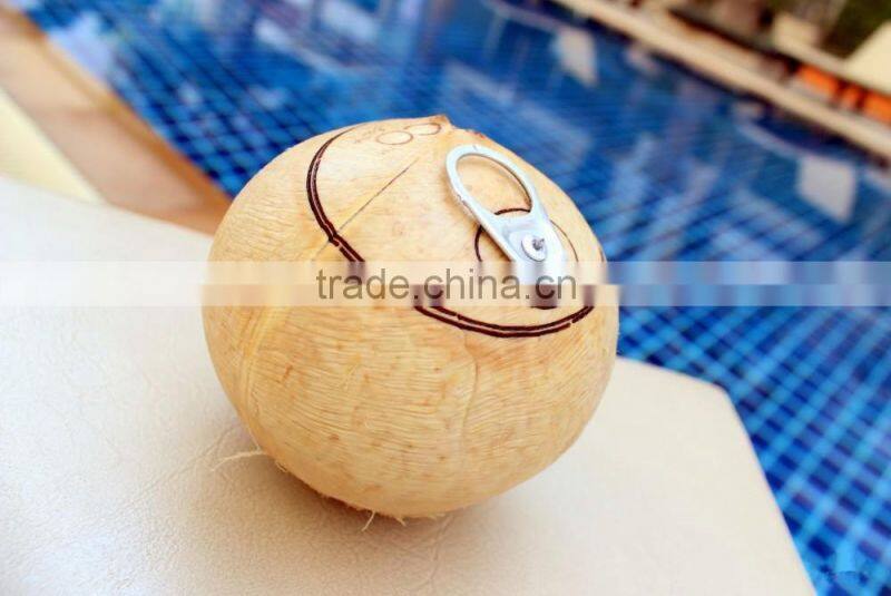 Machine Make Coconut Like Coco Easy