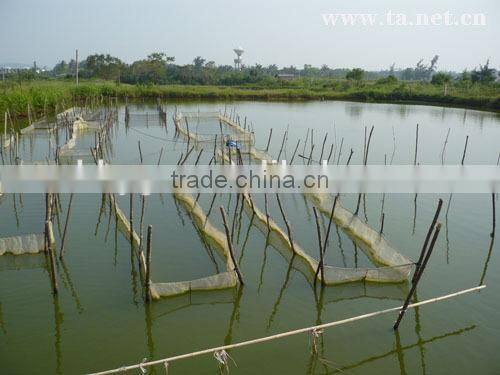 Tea Seed Meal/Cake/Powder for Aquaculture, Organic Fertilizer, Eco-pesticides, etc.