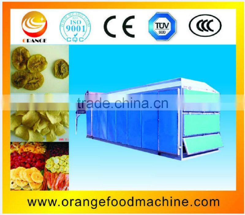 Fruit and vegetable dryer processing line