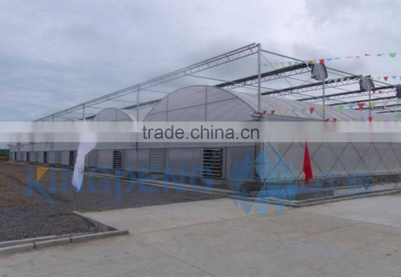Multi Span Poly Film Greenhouse