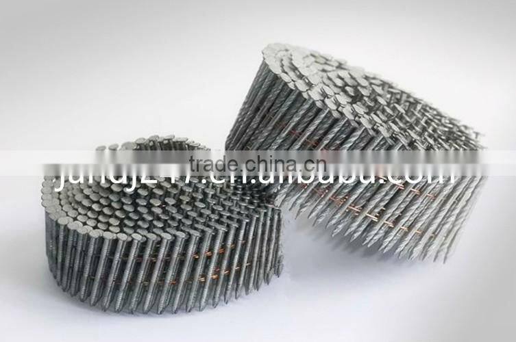 Hot-dip Galvanized Spiral Screw Shank Coil Roofing Nails