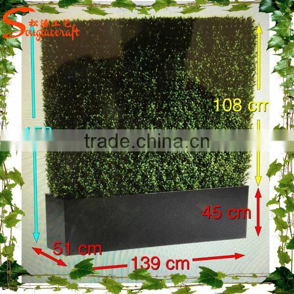 New design decription vertical mini garden green wall guangzhou manufacturers