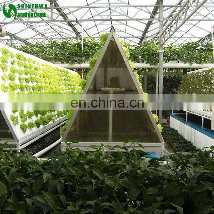 Agricultural Greenhouse Wall Hydroponic Growing Systems