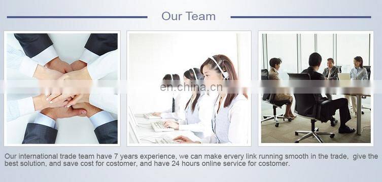 JR-200 Electric Frozen Meat Mincer for Sausage Production Line