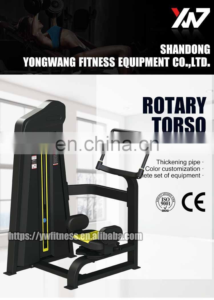 Factory direct sale professional YW-1736 sports equipment rotary torso