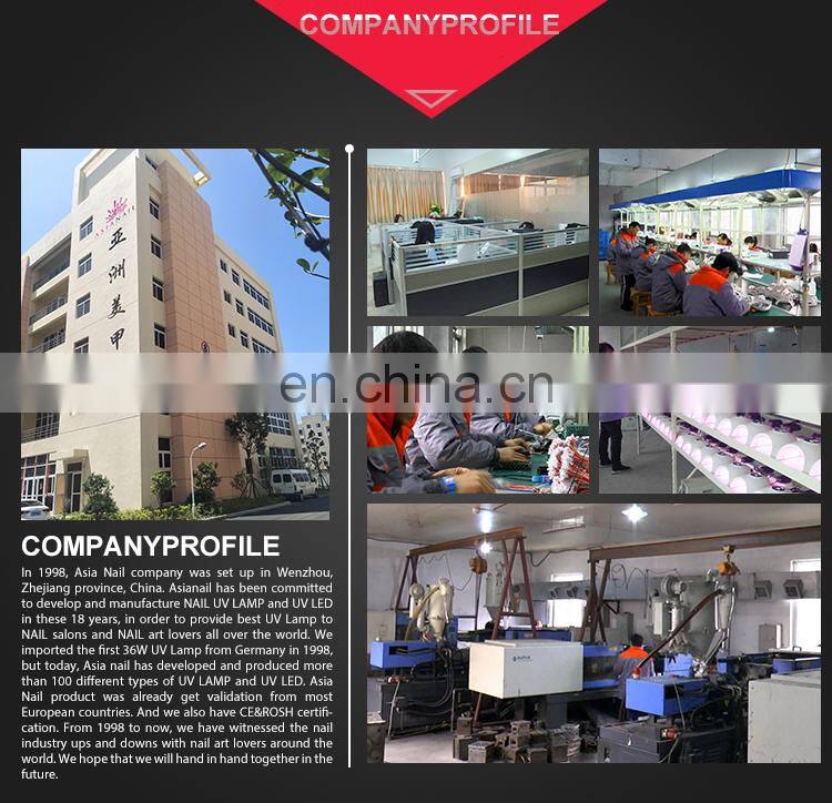 12 Colors acrylic polymer powder