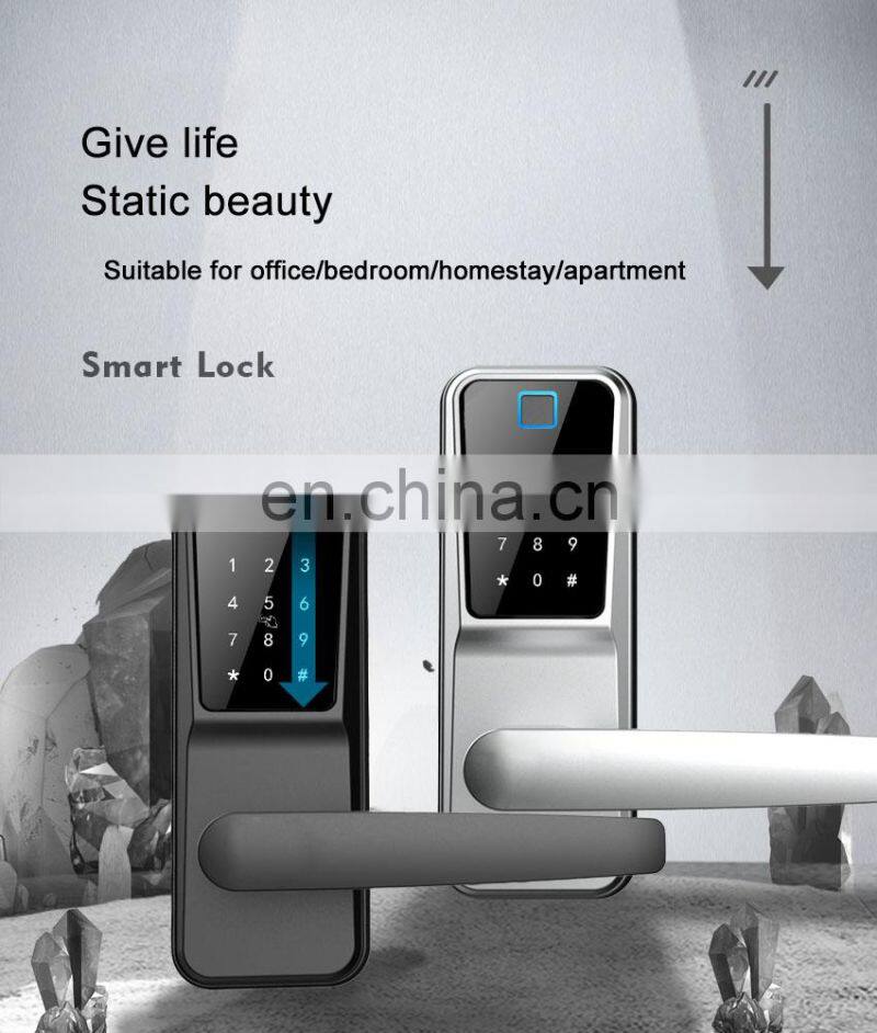 Wifi Ttlock Apps Intelligent Biometric Smart Lock Price Electronic Digital Smart Fingerprint Door Handel Lock For Security Home