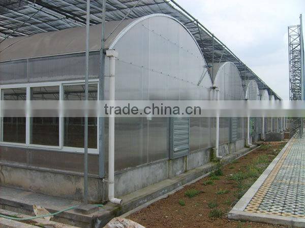 Greenhouses for Sale Cheap