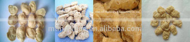 Soy nugget processing machine