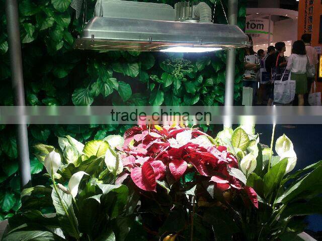 Perfect growth induction lamp 40w-300w