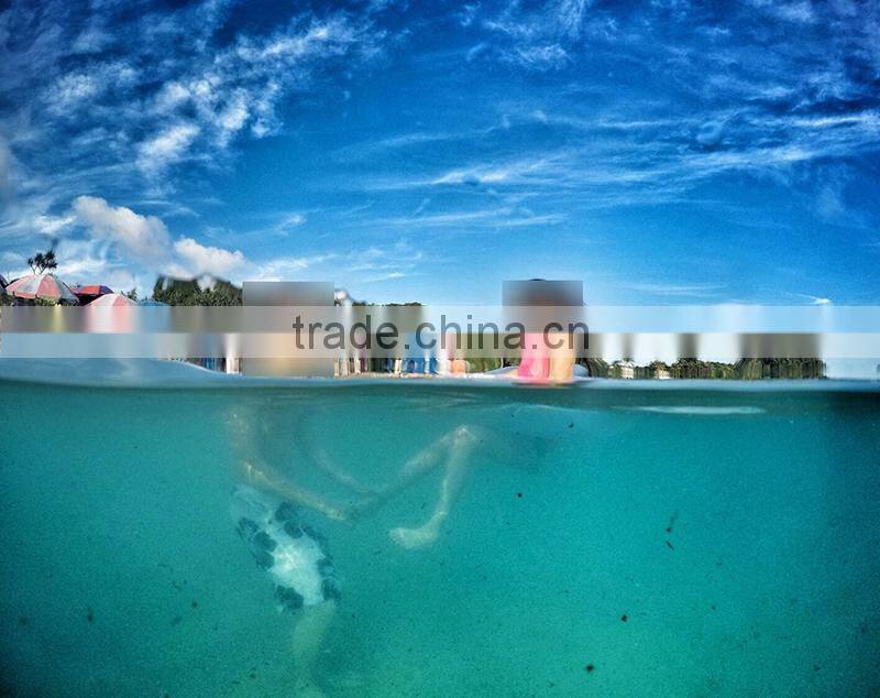 Telesin new released clear acrylic Dome Port for Go Pro Hero4